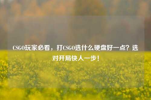 CSGO玩家必看，打CSGO选什么硬盘好一点？选对开局快人一步！