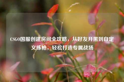 CSGO国服创建房间全攻略，从好友开黑到自定义练枪，轻松打造专属战场