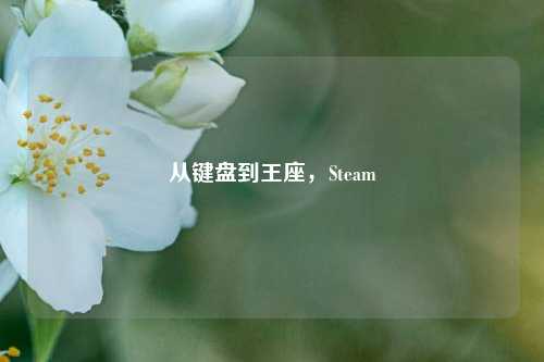 从键盘到王座，Steam