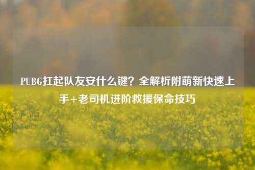 PUBG扛起队友安什么键？全解析附萌新快速上手+老司机进阶救援保命技巧