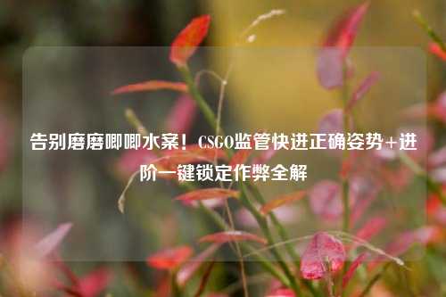 告别磨磨唧唧水案！CSGO监管快进正确姿势+进阶一键锁定作弊全解