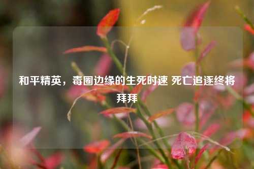 和平精英，毒圈边缘的生死时速 死亡追逐终将拜拜