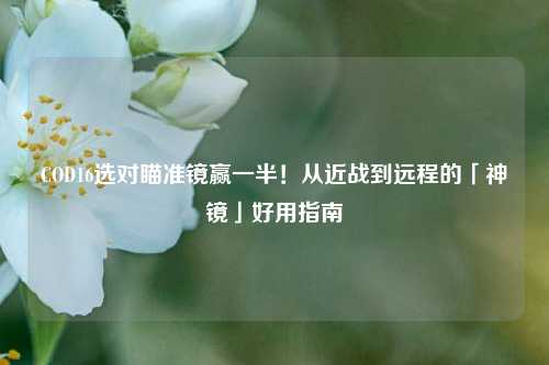 COD16选对瞄准镜赢一半！从近战到远程的「神镜」好用指南