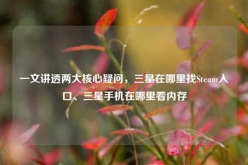 一文讲透两大核心疑问，三星在哪里找Steam入口、三星手机在哪里看内存