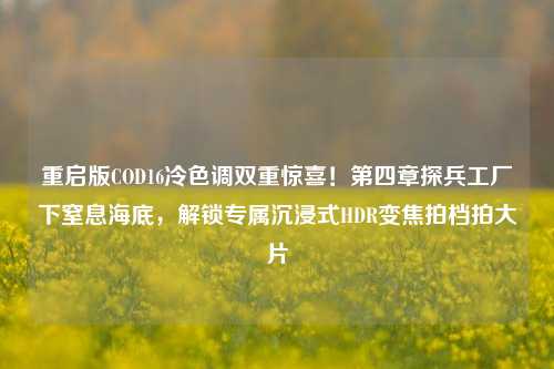 重启版COD16冷色调双重惊喜！第四章探兵工厂下窒息海底，解锁专属沉浸式HDR变焦拍档拍大片