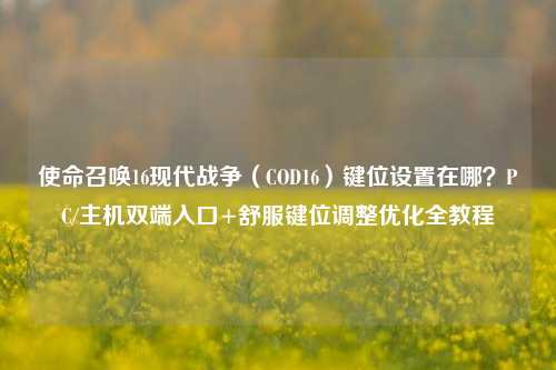 使命召唤16现代战争（COD16）键位设置在哪？PC/主机双端入口+舒服键位调整优化全教程