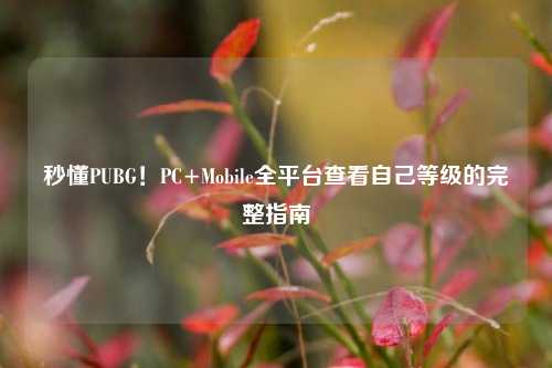 秒懂PUBG！PC+Mobile全平台查看自己等级的完整指南