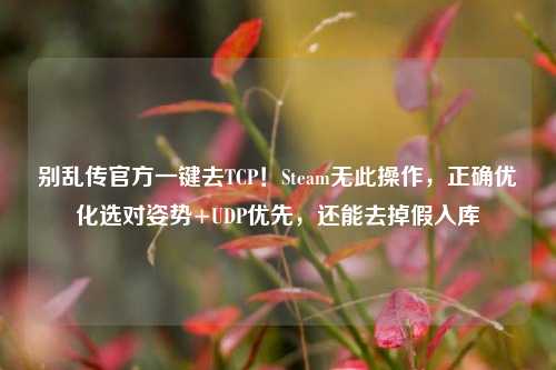 别乱传官方一键去TCP！Steam无此操作，正确优化选对姿势+UDP优先，还能去掉假入库