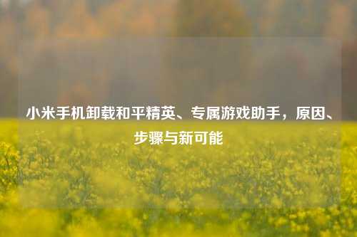 小米手机卸载和平精英、专属游戏助手，原因、步骤与新可能