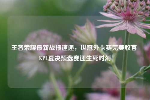 王者荣耀最新战报速递，世冠外卡赛完美收官 KPL夏决预选赛迎生死时刻