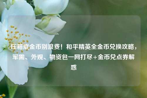 压箱底金币别浪费！和平精英全金币兑换攻略，军需、外观、物资包一网打尽+金币兑点券解惑