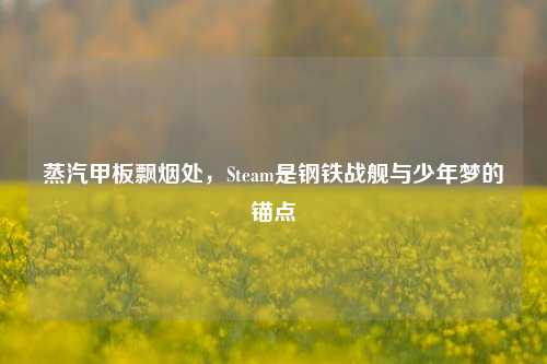 蒸汽甲板飘烟处，Steam是钢铁战舰与少年梦的锚点