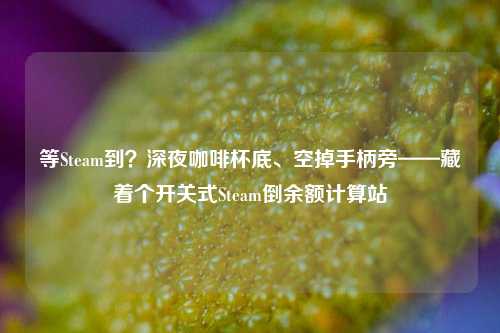 等Steam到？深夜咖啡杯底、空掉手柄旁——藏着个开关式Steam倒余额计算站