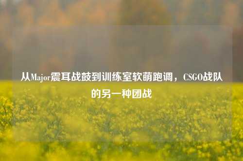 从Major震耳战鼓到训练室软萌跑调，CSGO战队的另一种团战