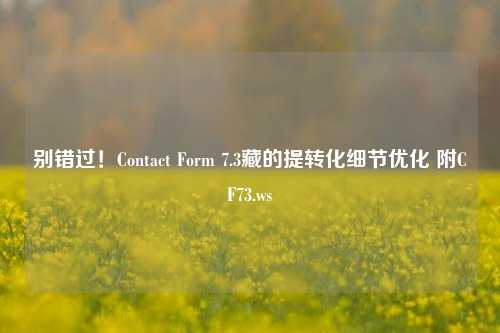 别错过！Contact Form 7.3藏的提转化细节优化 附CF73.ws