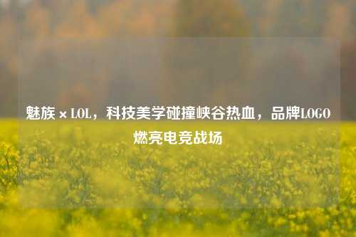 魅族×LOL，科技美学碰撞峡谷热血，品牌LOGO燃亮电竞战场