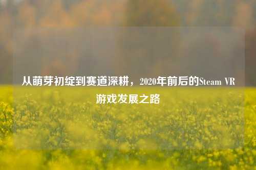 从萌芽初绽到赛道深耕，2020年前后的Steam VR游戏发展之路