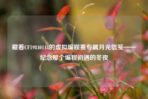 藏着CF19840118的虚拟编程赛专属月光信笺——纪念那个编程初遇的冬夜