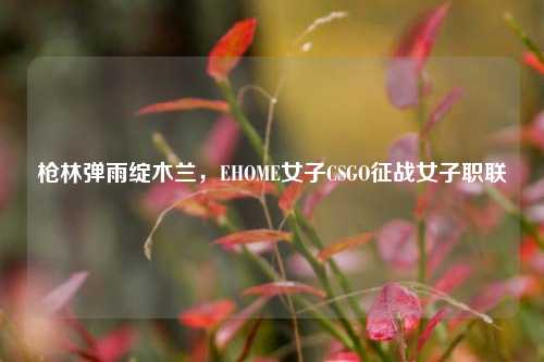 枪林弹雨绽木兰，EHOME女子CSGO征战女子职联