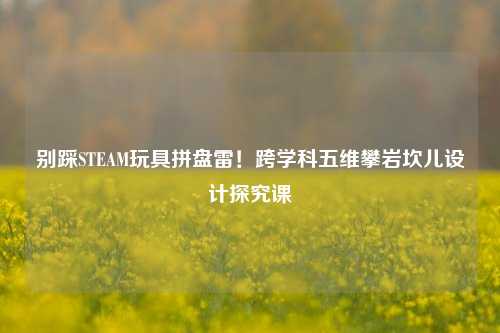 别踩STEAM玩具拼盘雷！跨学科五维攀岩坎儿设计探究课