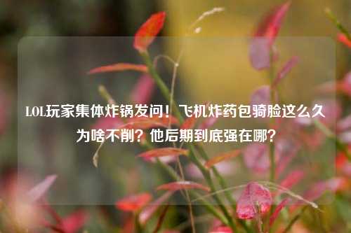 LOL玩家集体炸锅发问！飞机炸药包骑脸这么久为啥不削？他后期到底强在哪？