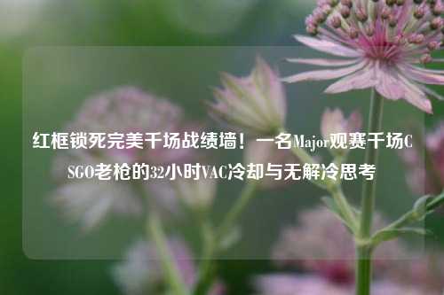 红框锁死完美千场战绩墙！一名Major观赛千场CSGO老枪的32小时VAC冷却与无解冷思考