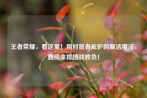 王者荣耀，看这里！用对贤者庇护的复活魔法，直接拿捏团战胜负！