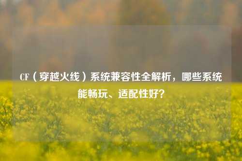 CF（穿越火线）系统兼容性全解析，哪些系统能畅玩、适配性好？