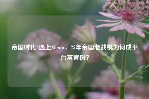帝国时代2遇上Steam,25年帝国老战棋为何成平台常青树?