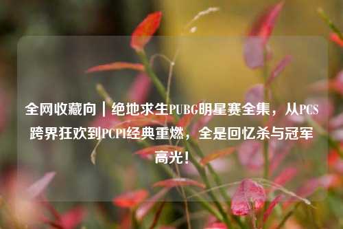全网收藏向|绝地求生PUBG明星赛全集,从PCS跨界狂欢到PCPI经典重燃,全是回忆杀与冠军高光!