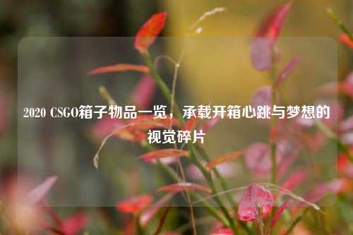 2020 CSGO箱子物品一览，承载开箱心跳与梦想的视觉碎片