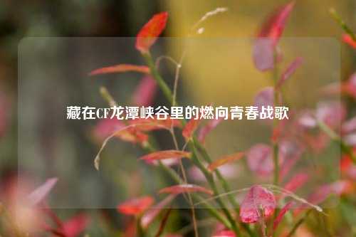 藏在CF龙潭峡谷里的燃向青春战歌