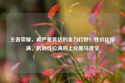 王者荣耀，被严重低估的金刀打野！性价比拉满、机动性拉满的上分黑马速学