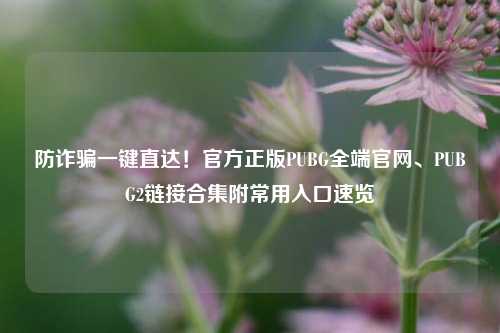 防诈骗一键直达！官方正版PUBG全端官网、PUBG2链接合集附常用入口速览