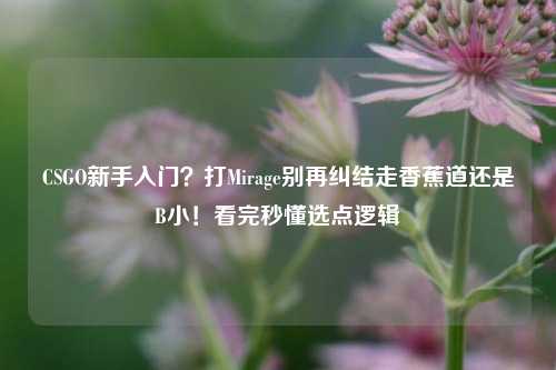 CSGO新手入门?打Mirage别再纠结走香蕉道还是B小!看完秒懂选点逻辑
