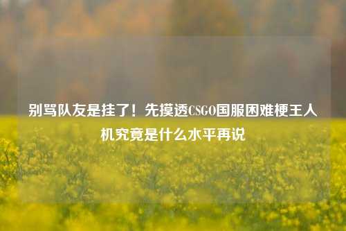 别骂队友是挂了！先摸透CSGO国服困难梗王人机究竟是什么水平再说