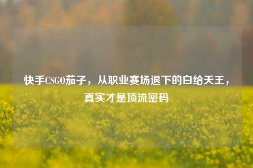 快手CSGO茄子,从职业赛场退下的白给天王,真实才是顶流密码