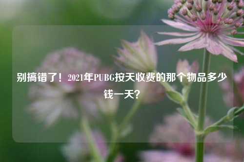 别搞错了!2021年PUBG按天收费的那个物品多少钱一天?