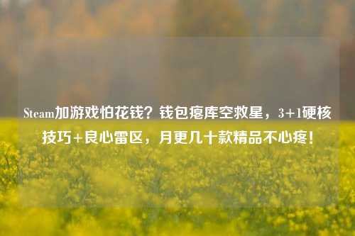 Steam加游戏怕花钱?钱包瘪库空救星,3+1硬核技巧+良心雷区,月更几十款精品不心疼!
