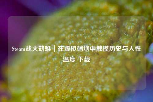 Steam战火劫难|在虚拟硝烟中触摸历史与人性温度 下载