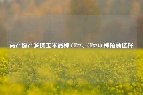 高产稳产多抗玉米品种 CF22、CF3240 种植新选择