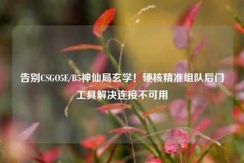 告别CSGO5E/B5神仙局玄学！硬核精准组队后门工具解决连接不可用