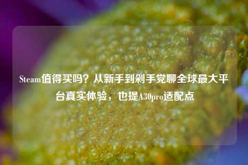 Steam值得买吗?从新手到剁手党聊全球最大平台真实体验,也提A30pro适配点