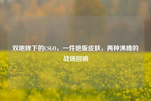 双咆哮下的CSGO,一件绝版皮肤,两种沸腾的战场回响