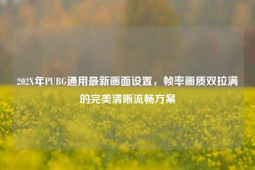 202X年PUBG通用最新画面设置,帧率画质双拉满的完美清晰流畅方案