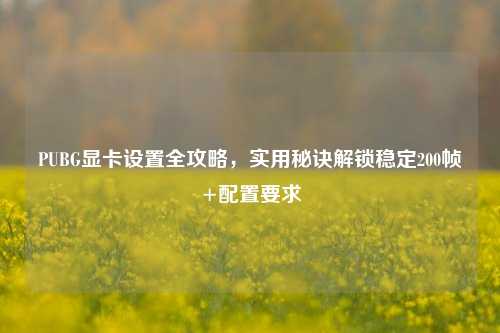 PUBG显卡设置全攻略，实用秘诀解锁稳定200帧+配置要求