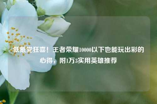 低氪党狂喜!王者荣耀10000以下也能玩出彩的心得,附1万3实用英雄推荐