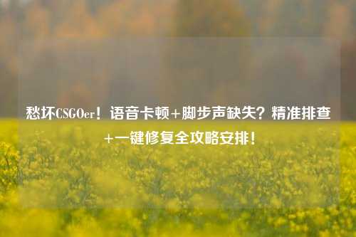 愁坏CSGOer！语音卡顿+脚步声缺失？精准排查+一键修复全攻略安排！