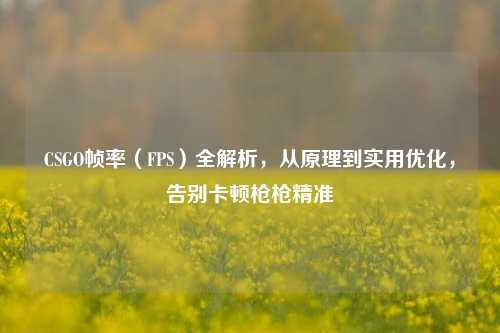 CSGO帧率(FPS)全解析,从原理到实用优化,告别卡顿枪枪精准