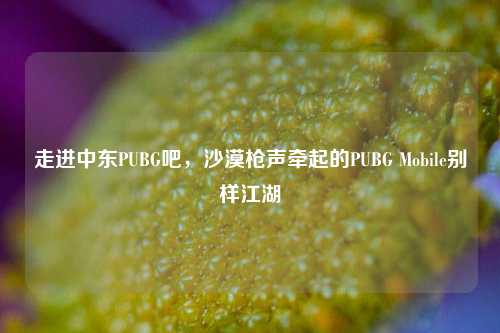 走进中东PUBG吧，沙漠枪声牵起的PUBG Mobile别样江湖